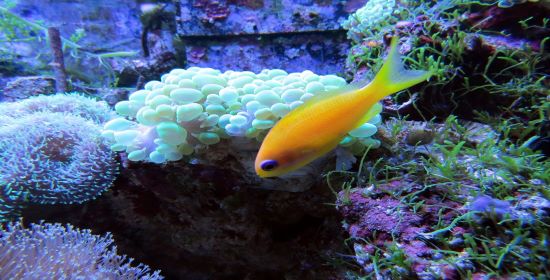 blog1