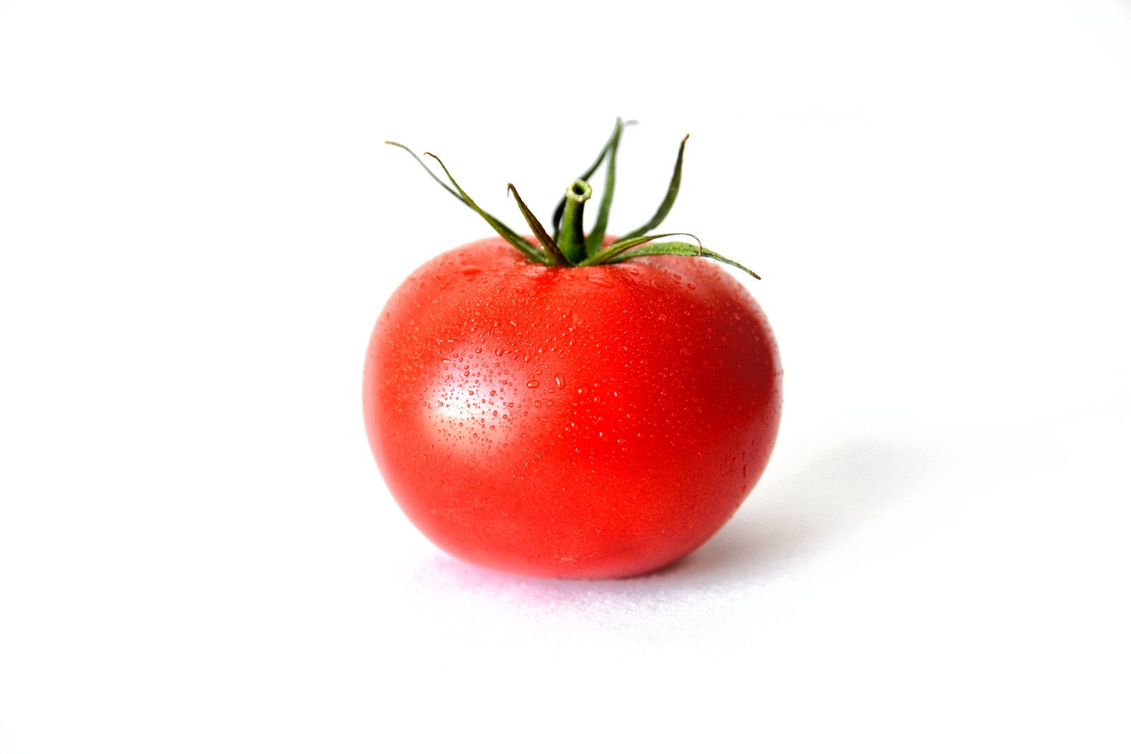 tomato_sm