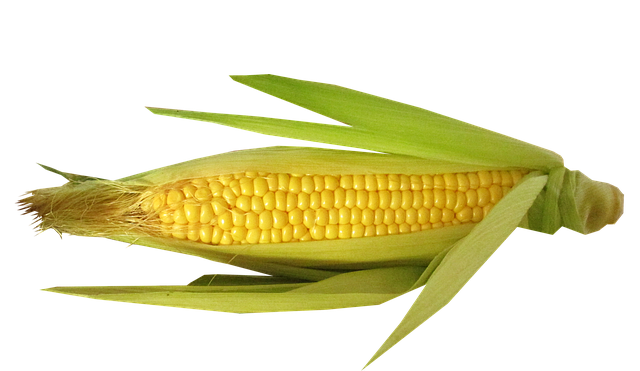 corn_sm